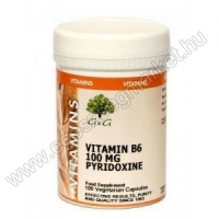 G&G B6-vitamin 100mg 120 kapszula