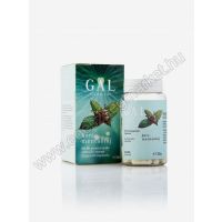 GAL Borsmentaolaj 100 mg 60 kapszula